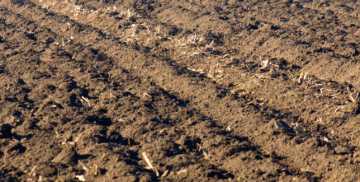 Прикатывание почвы