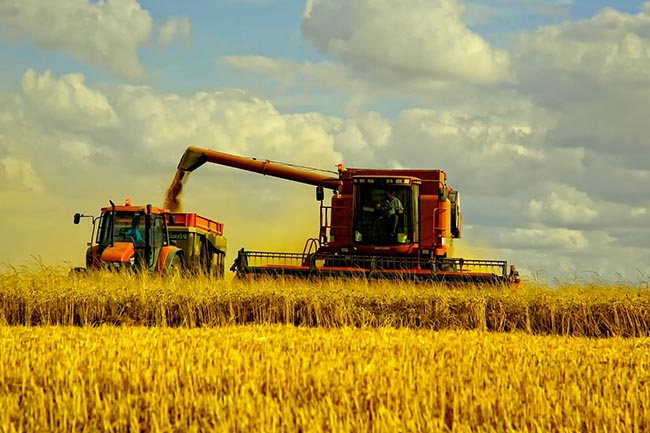 Украина экспорт зерна